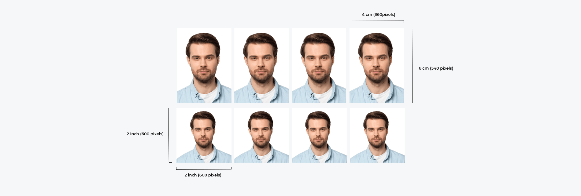 passport picture editor tip 1